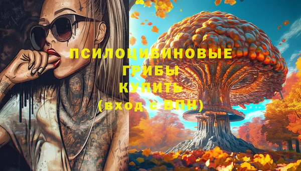 прущая мука Алзамай
